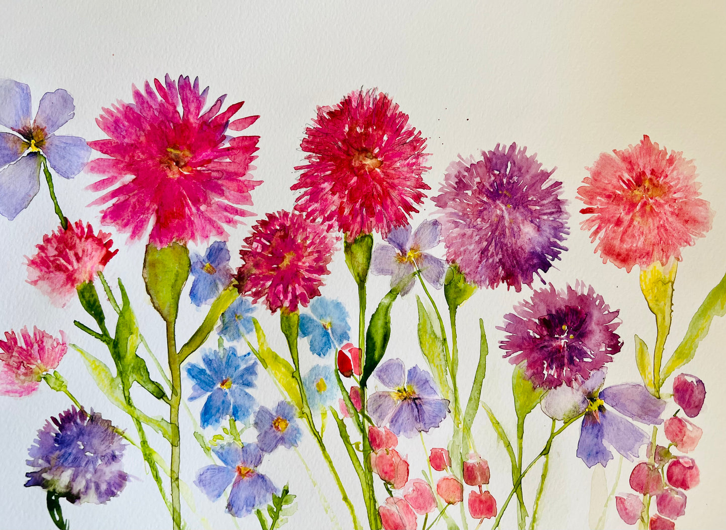 Wild West Flowers
