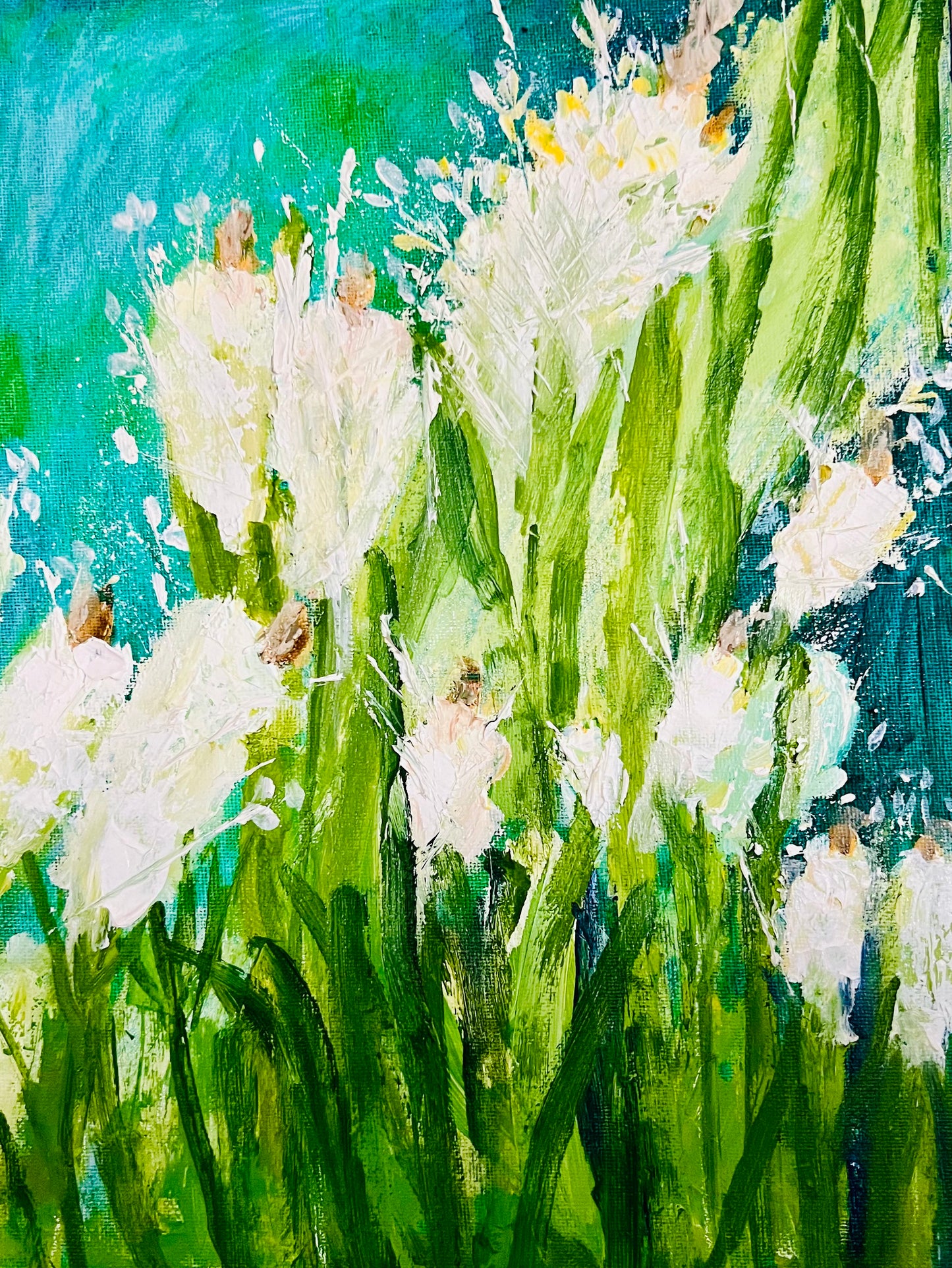 Idaho Wild Flowers