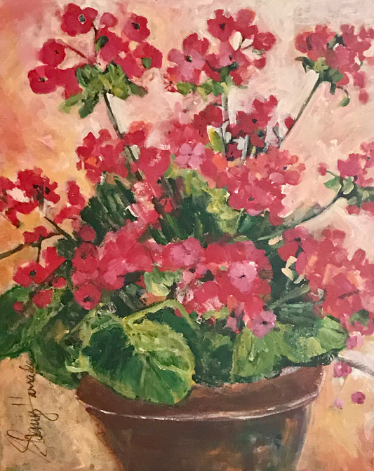 Potted Geraniums