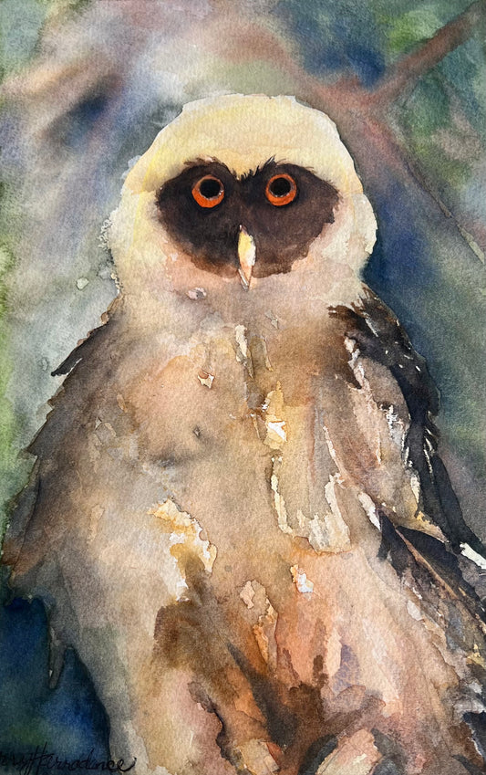 Hooty