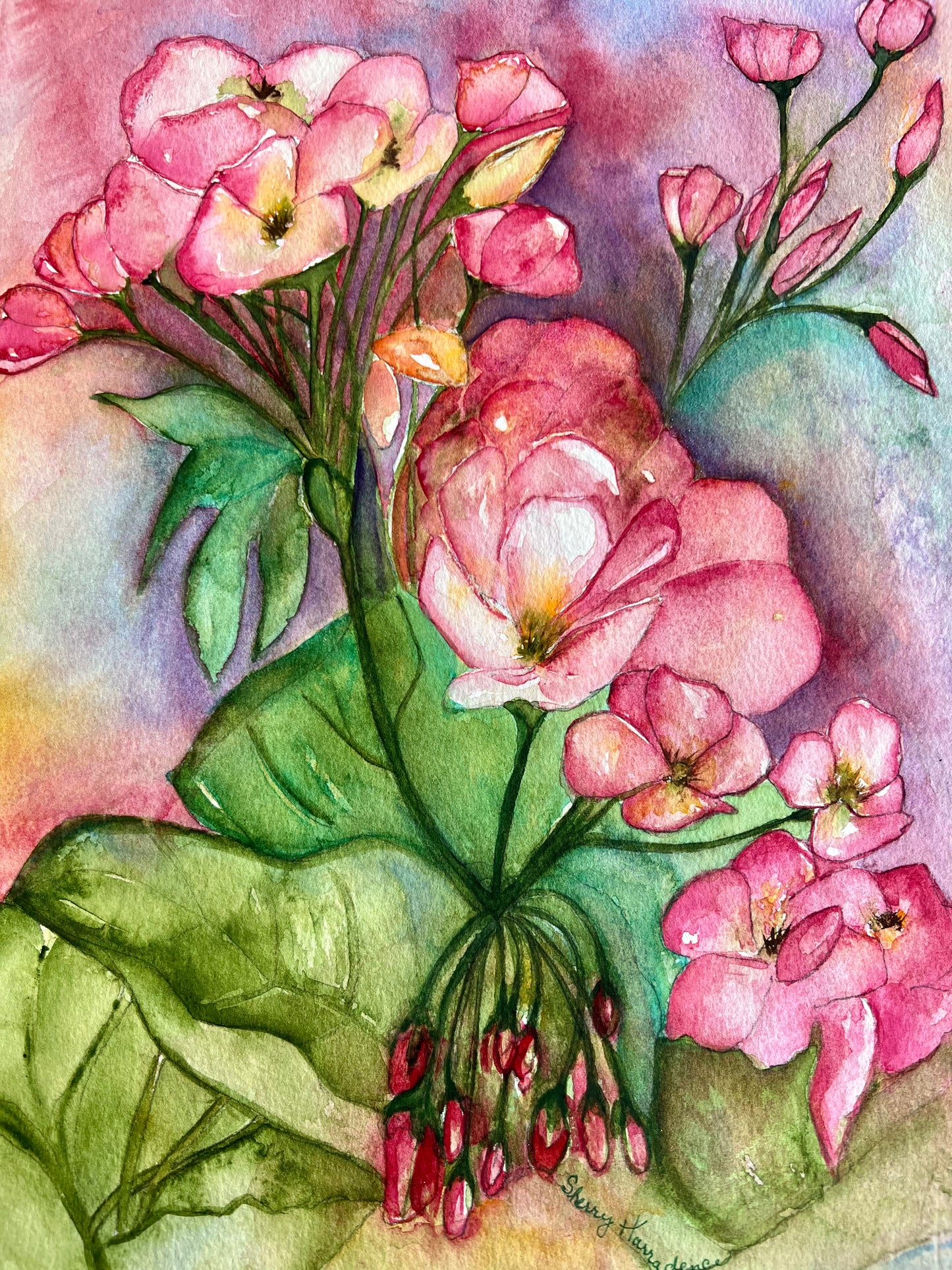 Geranium Bliss