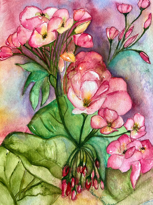 Geranium Bliss