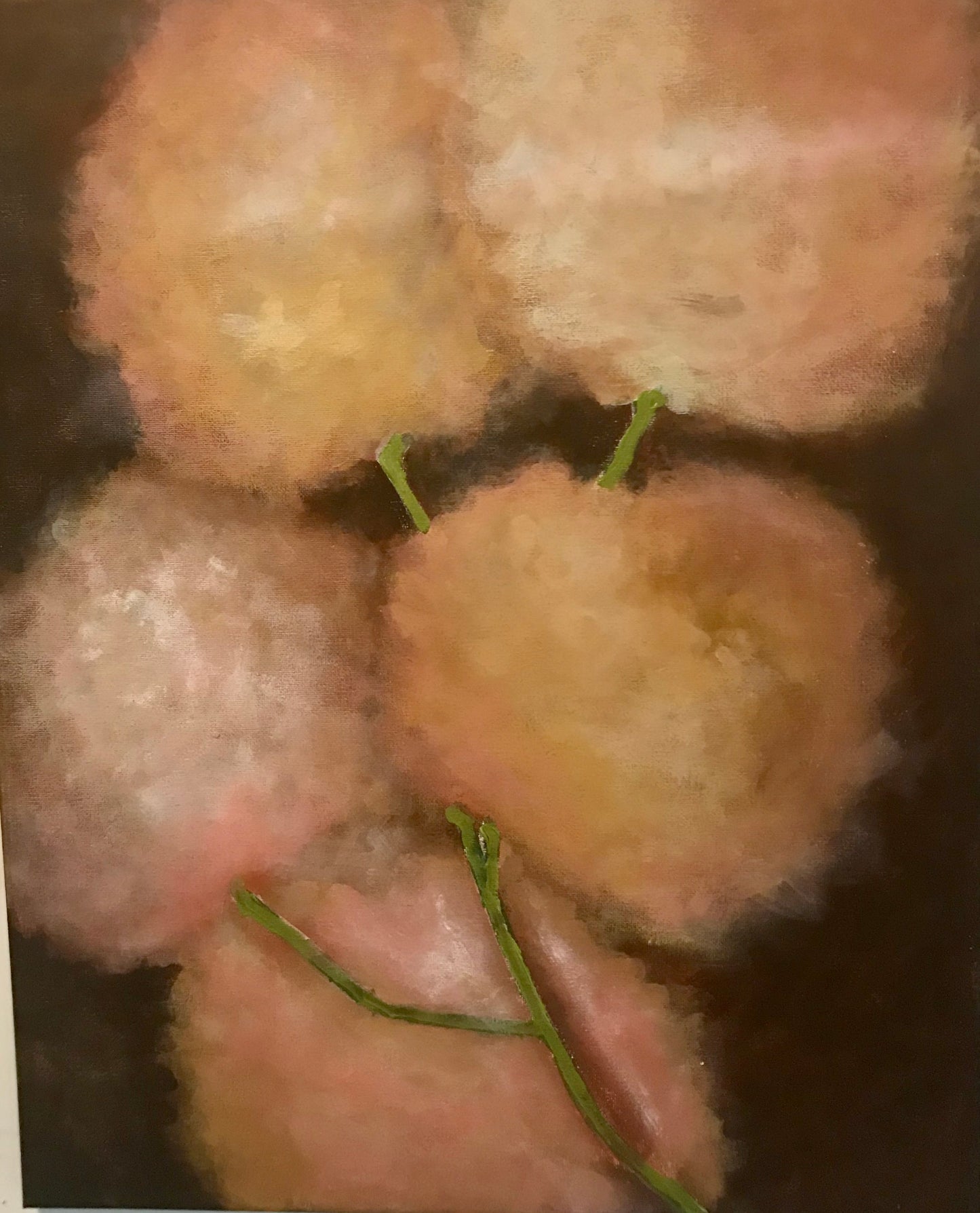 Cotton Ballads