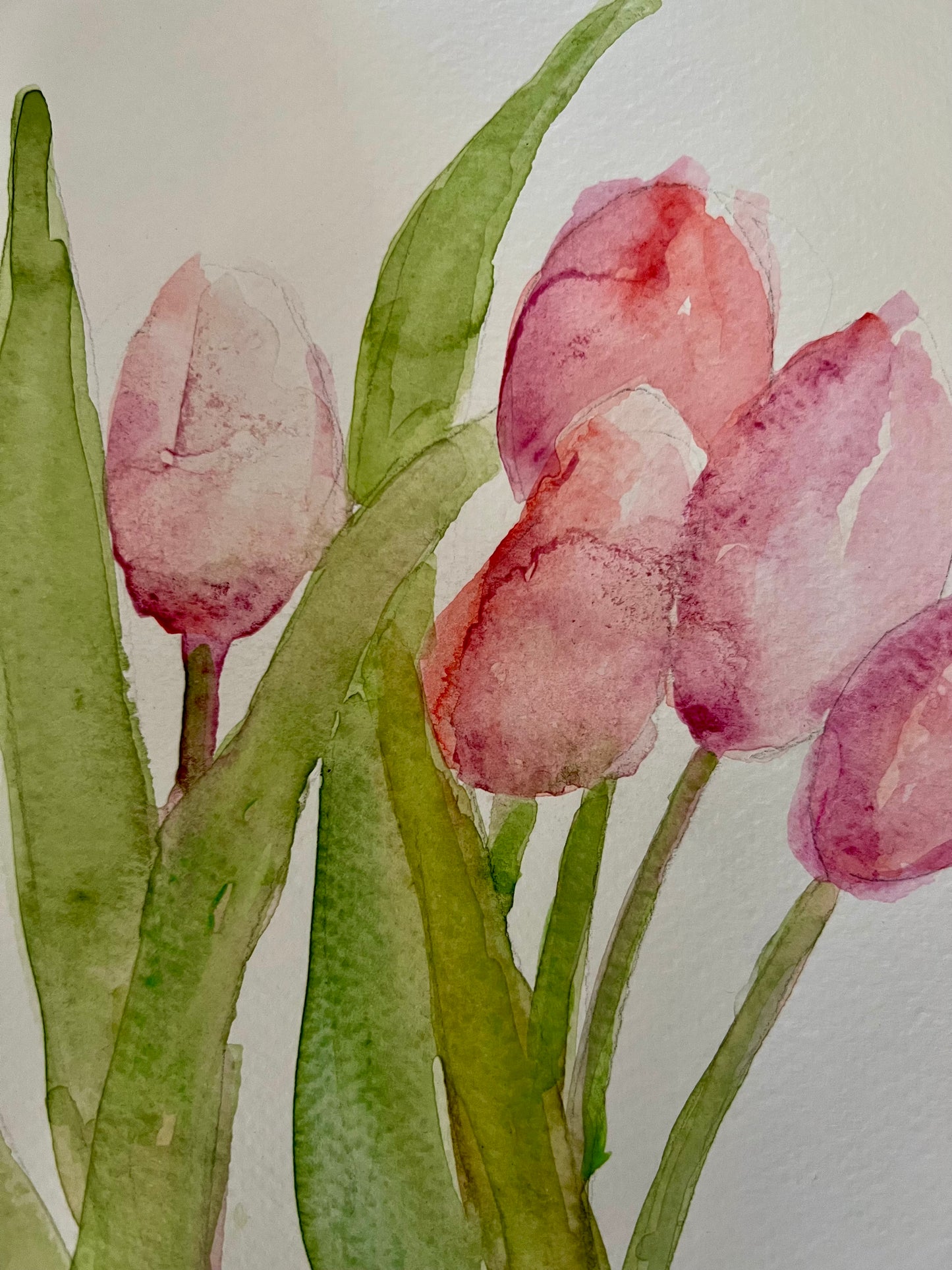 Tulips in the Spring. Original painting titled "Tulips in the Spring" featuring soft, blooming tulips in delicate pastel hues. Symbolizes hope, new beginnings, and the renewal of life.