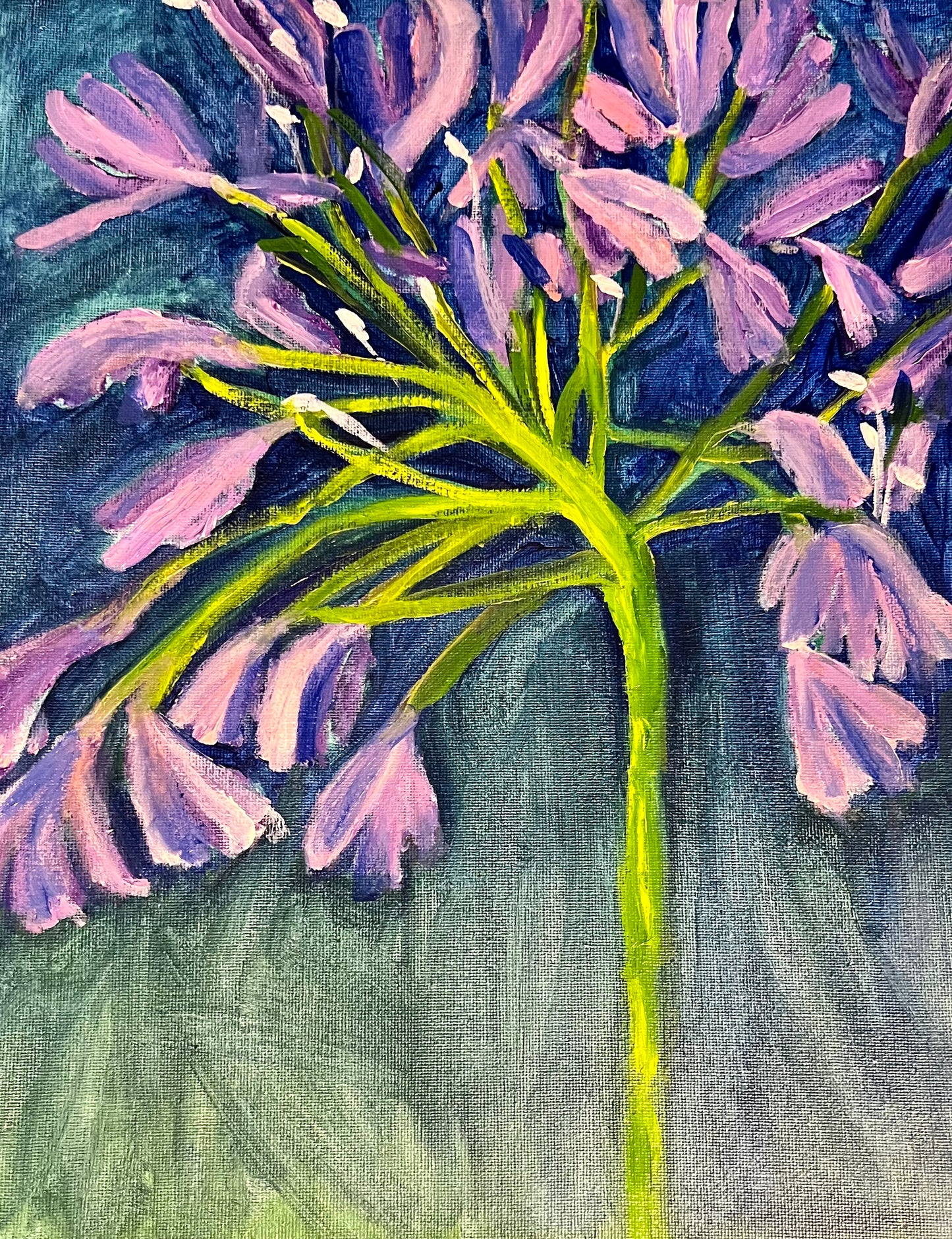 Wild Weeds