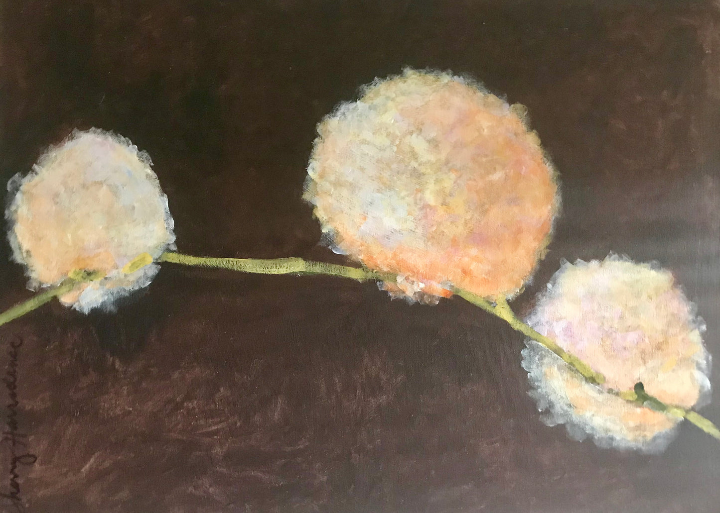 Cotton Ballads