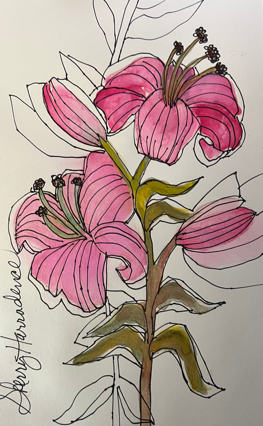 Pink Lily’s