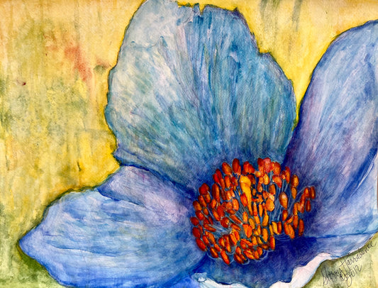 Blue Rare Poppy